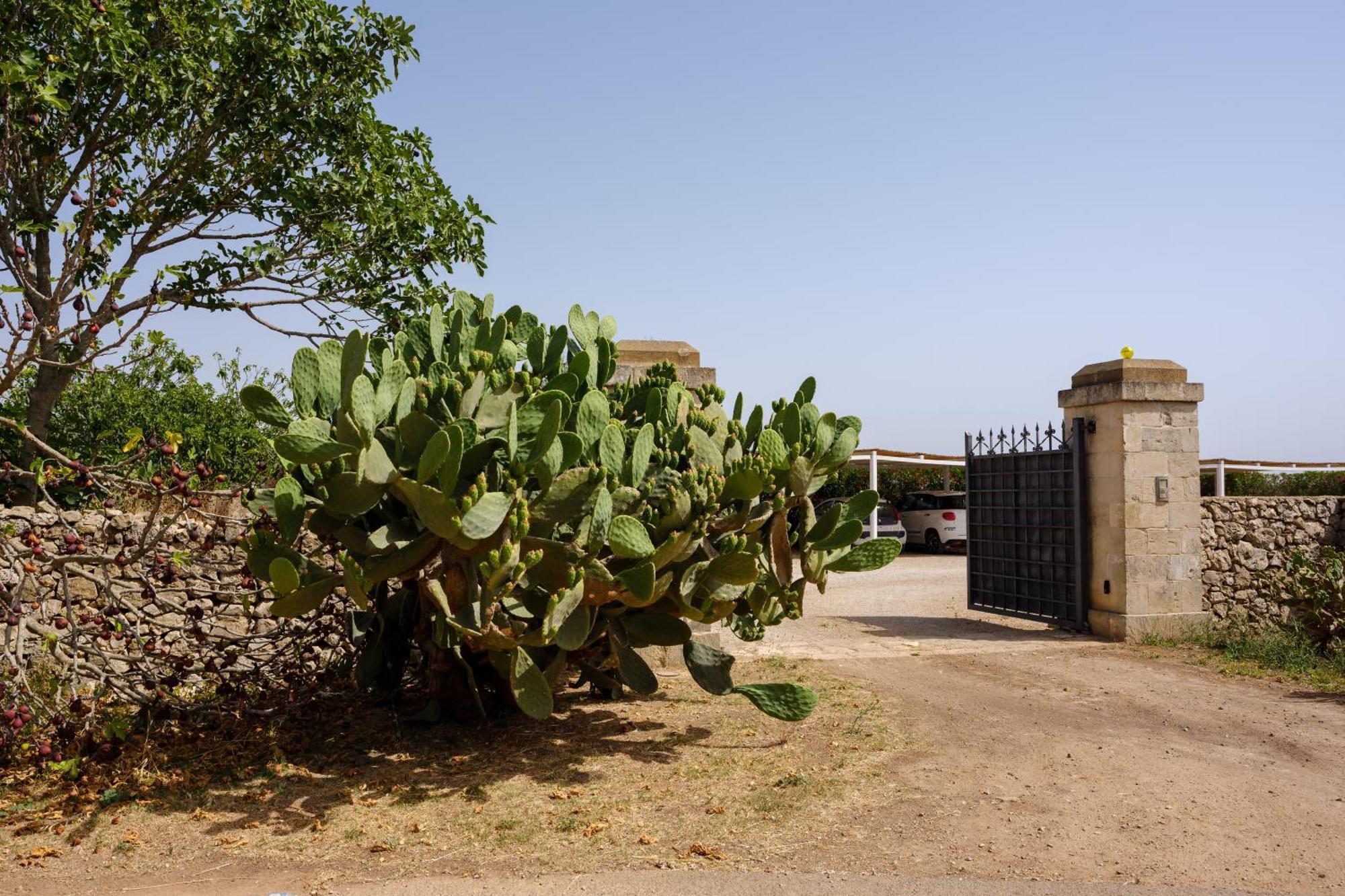 Masseria Bernardini By Symphonya Luxury Rentals Nardò المظهر الخارجي الصورة
